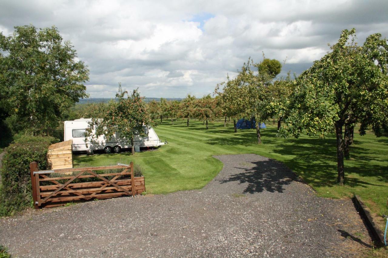 Orchard Farm Luxury Glamping And Campsite Гластонбери Экстерьер фото